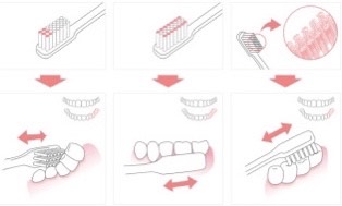 正しい歯磨きの仕方の画像